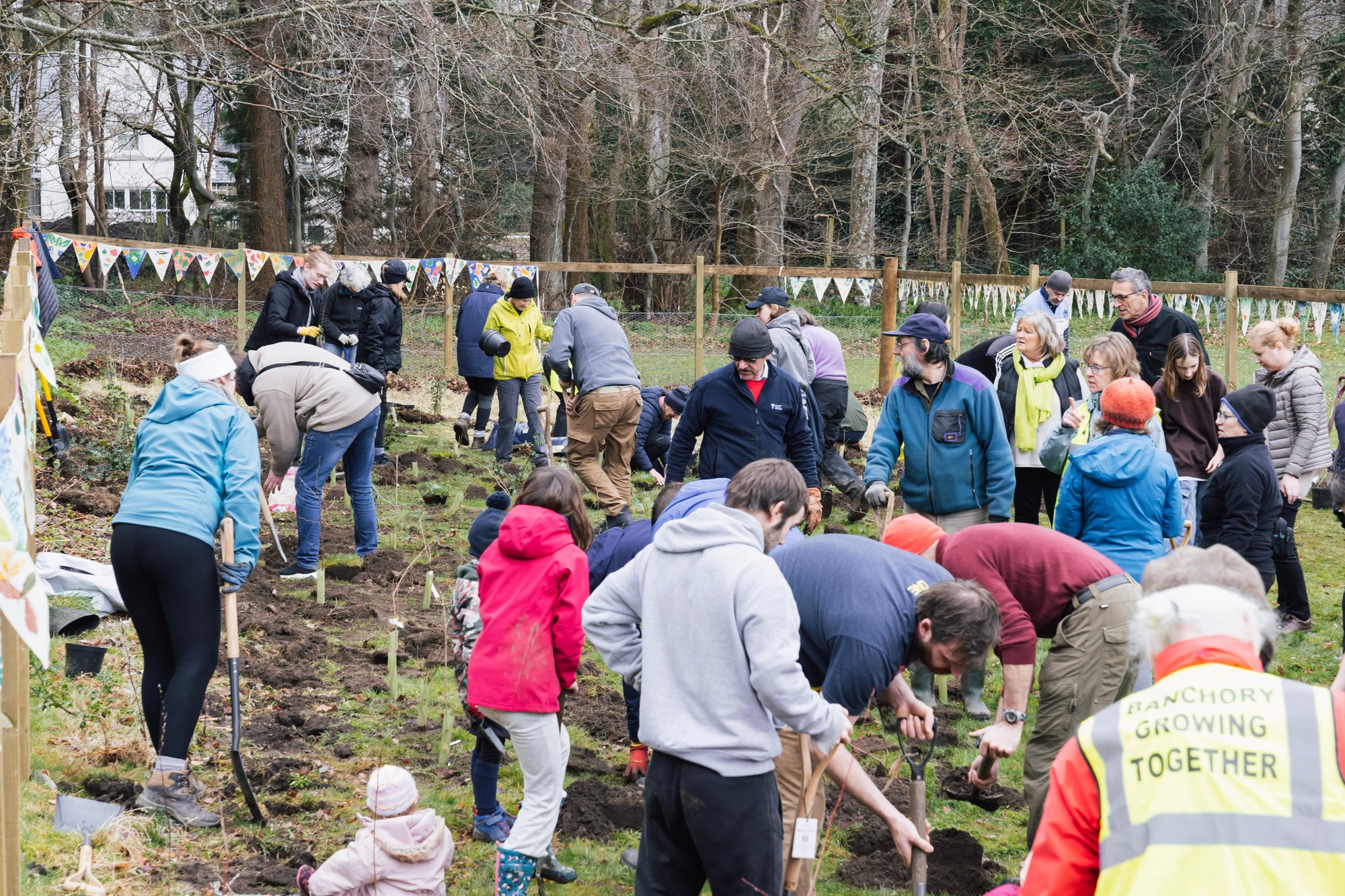 4-Wee Forest Planting_3