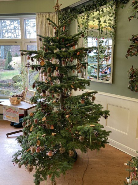 CH and IS Tree CH and IS Tree