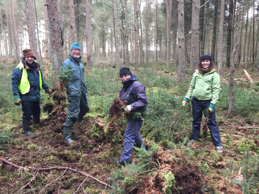 Hazlehead Squirrel Woodland Management 17 March 2018 (4)