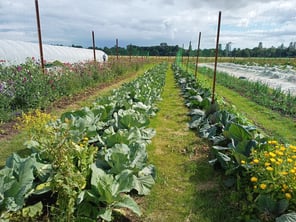 IMG-20230716-WA0003