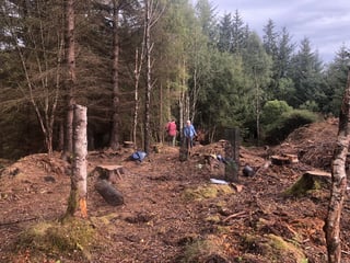 Maryculter Woodland Trust - Planting