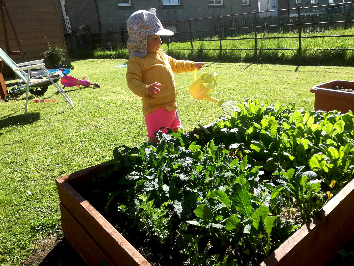 child watering plants_use with omelette recipe