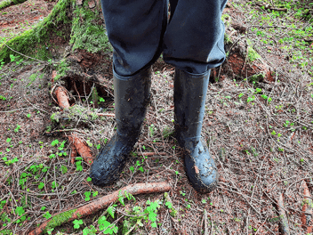 nescan muddy wellies
