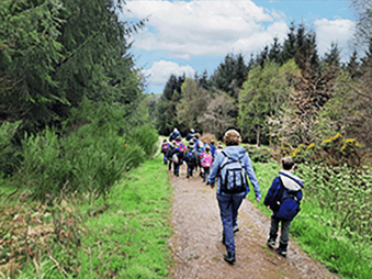 nescan school woodland forest walk
