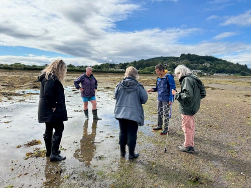 Seagrass Volunteers - Moray Ocean Community