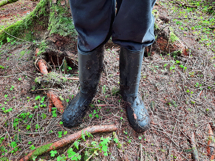 muddywellies