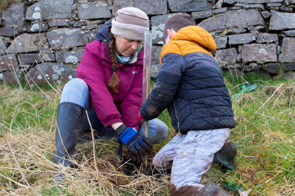 seachange tree planting